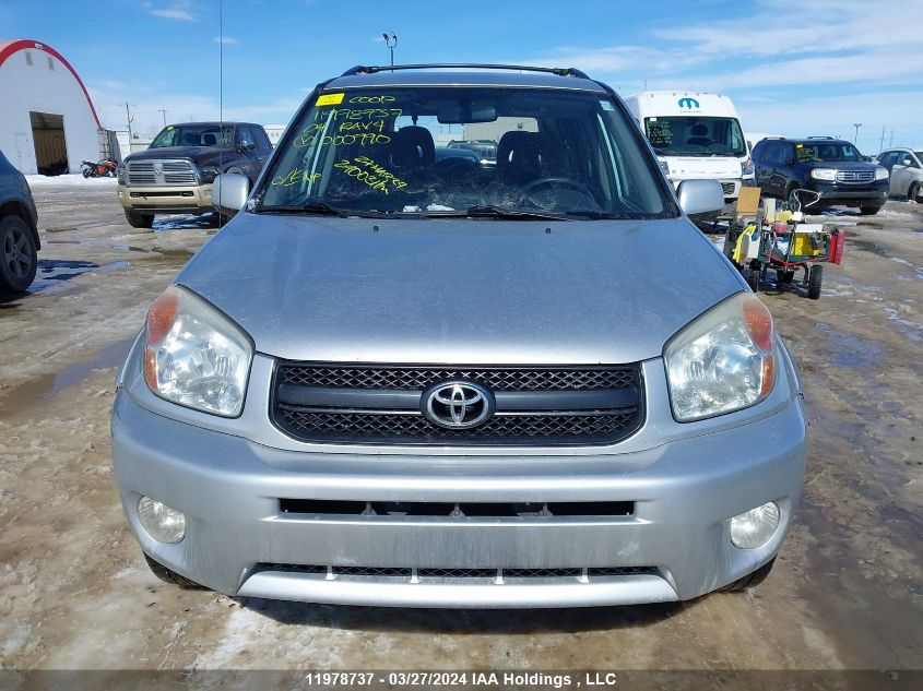 2004 Toyota Rav4 VIN: JTEHD20VX46000990 Lot: 11978737