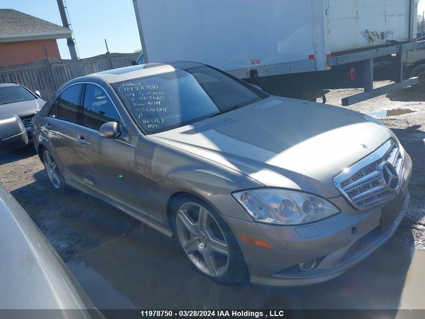 2009 Mercedes-Benz S-Class VIN: WDDNF84X69A263665 Lot: 11978750