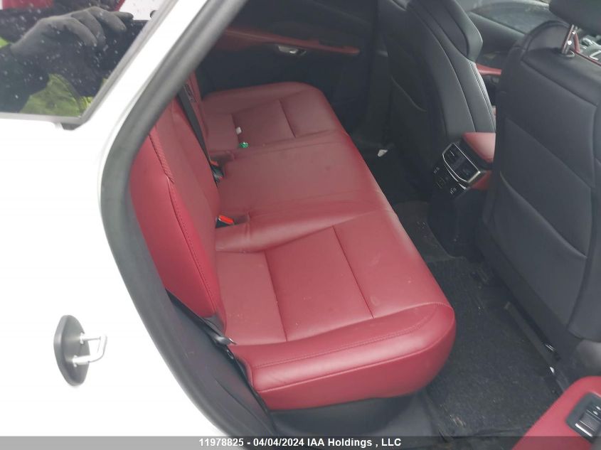 2023 Lexus Rx VIN: 2T2BAMCA9PC004206 Lot: 11978825