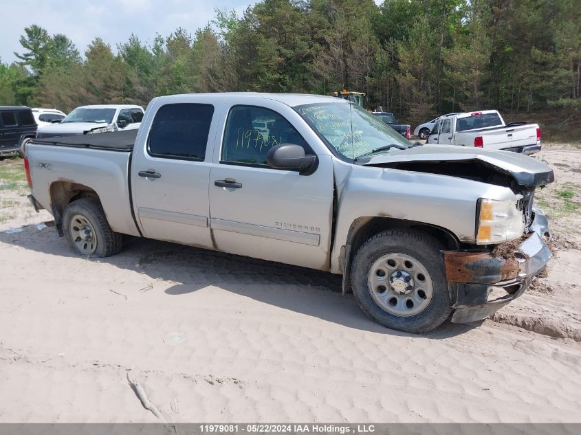 2010 Chevrolet Silverado 1500 VIN: 3GCRKREA1AG177709 Lot: 11979081