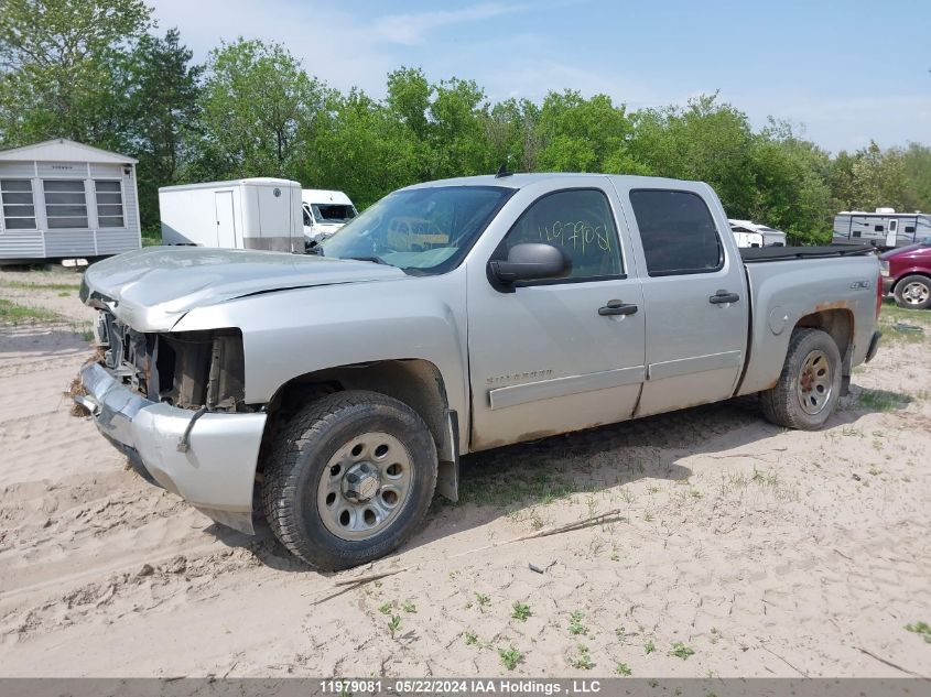 2010 Chevrolet Silverado 1500 VIN: 3GCRKREA1AG177709 Lot: 11979081