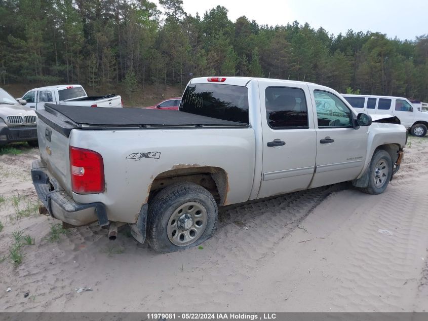 2010 Chevrolet Silverado 1500 VIN: 3GCRKREA1AG177709 Lot: 11979081