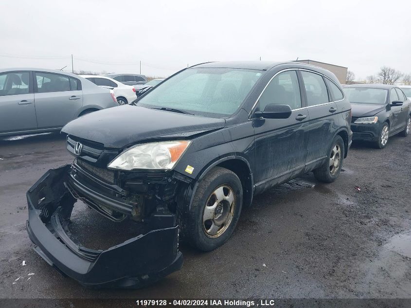 2008 Honda Cr-V VIN: 5J6RE38338L800627 Lot: 11979128