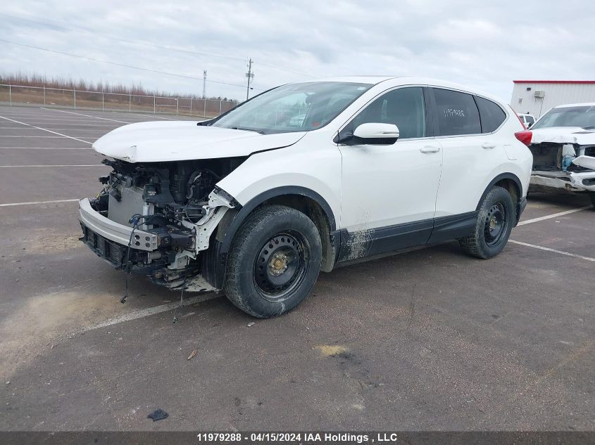 2019 Honda Cr-V VIN: 2HKRW2H56KH136916 Lot: 11979288