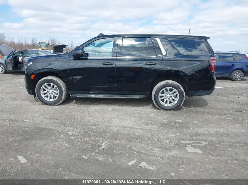 2023 Chevrolet Tahoe VIN: 1GNSKNKT0PR366853 Lot: 11979301