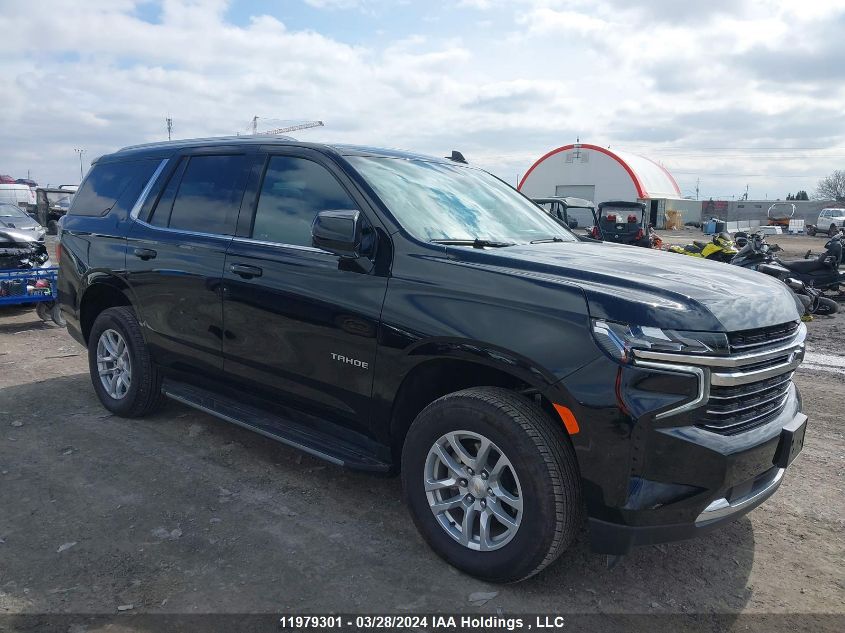 2023 Chevrolet Tahoe VIN: 1GNSKNKT0PR366853 Lot: 11979301