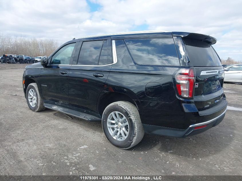 2023 Chevrolet Tahoe VIN: 1GNSKNKT0PR366853 Lot: 11979301