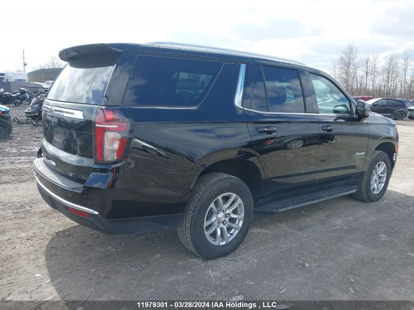 2023 Chevrolet Tahoe VIN: 1GNSKNKT0PR366853 Lot: 11979301