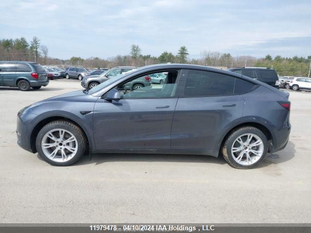 2023 Tesla Model Y VIN: LRWYGDFD8PC222100 Lot: 11979478