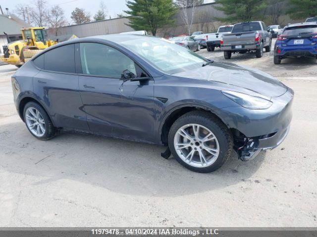 2023 Tesla Model Y VIN: LRWYGDFD8PC222100 Lot: 11979478