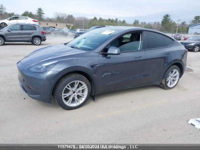 2023 Tesla Model Y VIN: LRWYGDFD8PC222100 Lot: 11979478