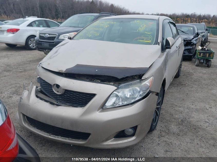 2010 Toyota Corolla S/Le/Xle VIN: 2T1BU4EE8AC202956 Lot: 39240697
