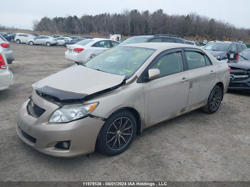 2010 Toyota Corolla S/Le/Xle VIN: 2T1BU4EE8AC202956 Lot: 39240697