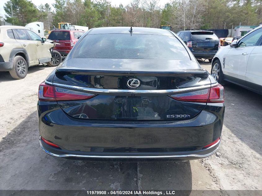 2023 Lexus Es 300H VIN: 58AB21B12PU014245 Lot: 11979908