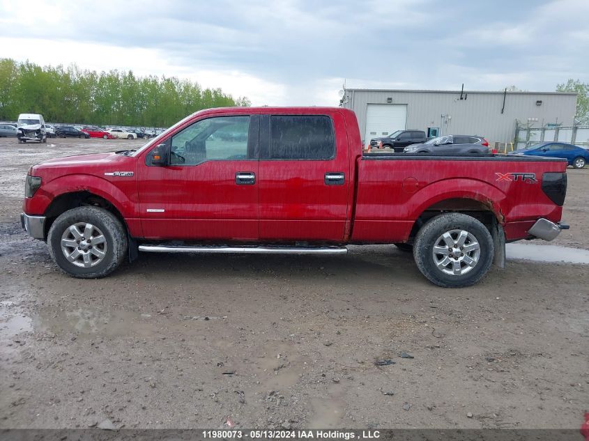 2013 Ford F-150 VIN: 1FTFW1ETXDFD28479 Lot: 11980073