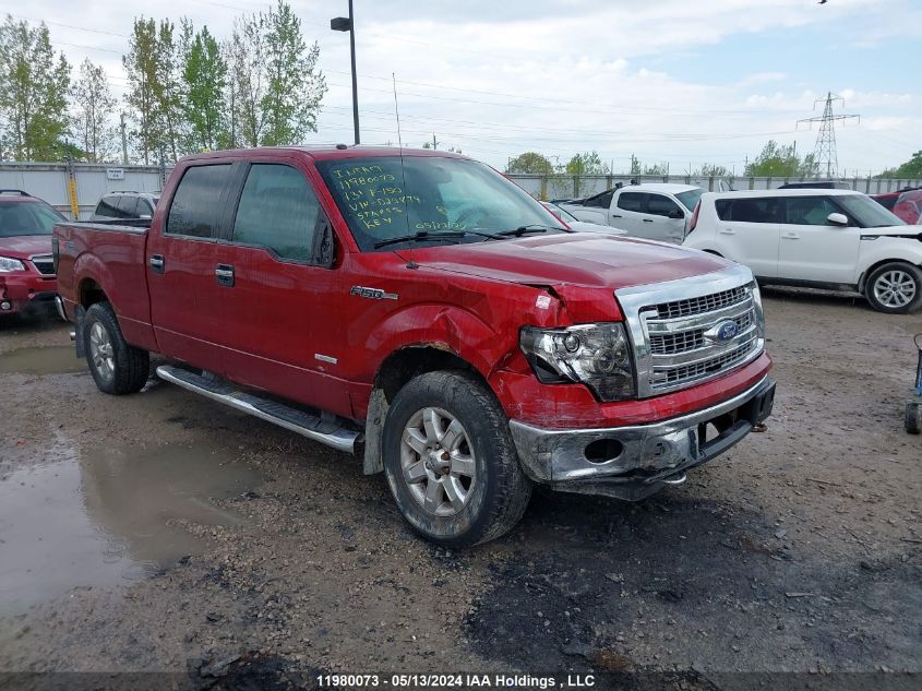 2013 Ford F-150 VIN: 1FTFW1ETXDFD28479 Lot: 11980073