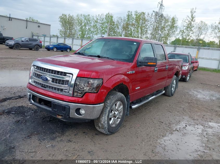 2013 Ford F-150 VIN: 1FTFW1ETXDFD28479 Lot: 11980073