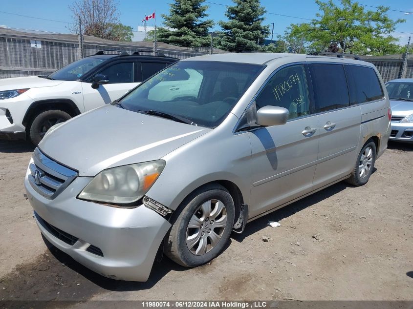 2006 Honda Odyssey VIN: 5FNRL38406B502069 Lot: 11980074