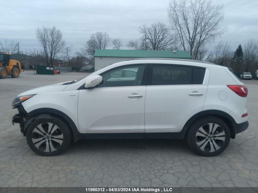 2013 Kia Sportage Ex VIN: KNDPCCA24D7483156 Lot: 39241605