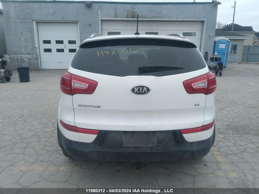 2013 Kia Sportage Ex VIN: KNDPCCA24D7483156 Lot: 39241605