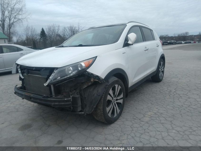 2013 Kia Sportage Ex VIN: KNDPCCA24D7483156 Lot: 39241605