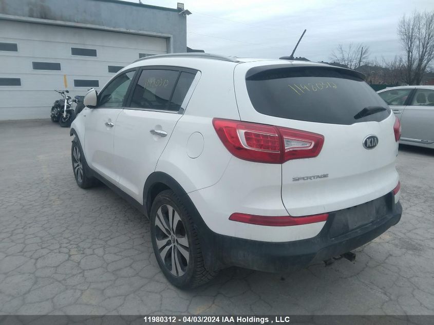 2013 Kia Sportage Ex VIN: KNDPCCA24D7483156 Lot: 39241605