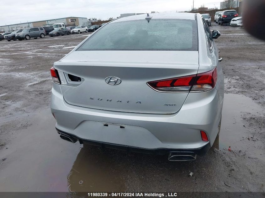 2019 Hyundai Sonata VIN: 5NPE34AF5KH795379 Lot: 11980339