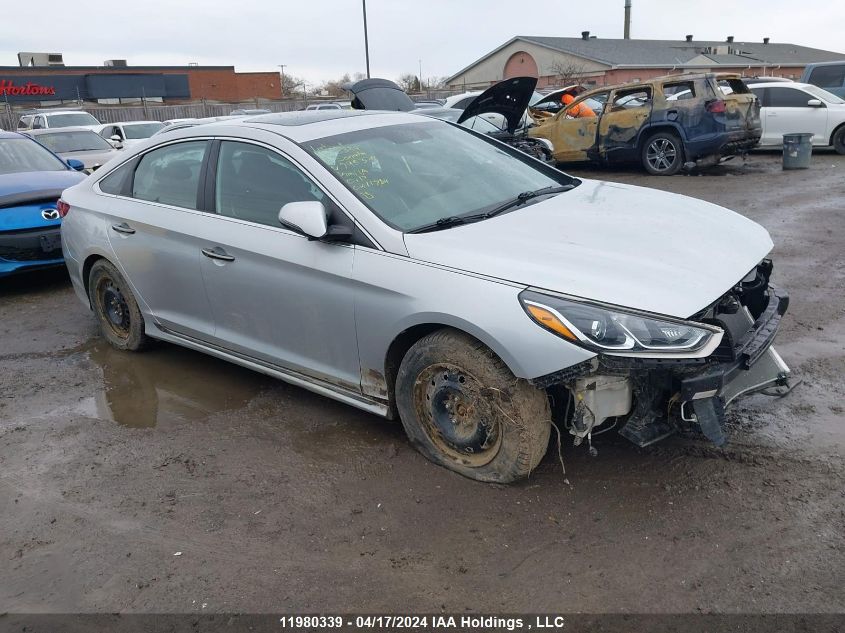 2019 Hyundai Sonata VIN: 5NPE34AF5KH795379 Lot: 11980339