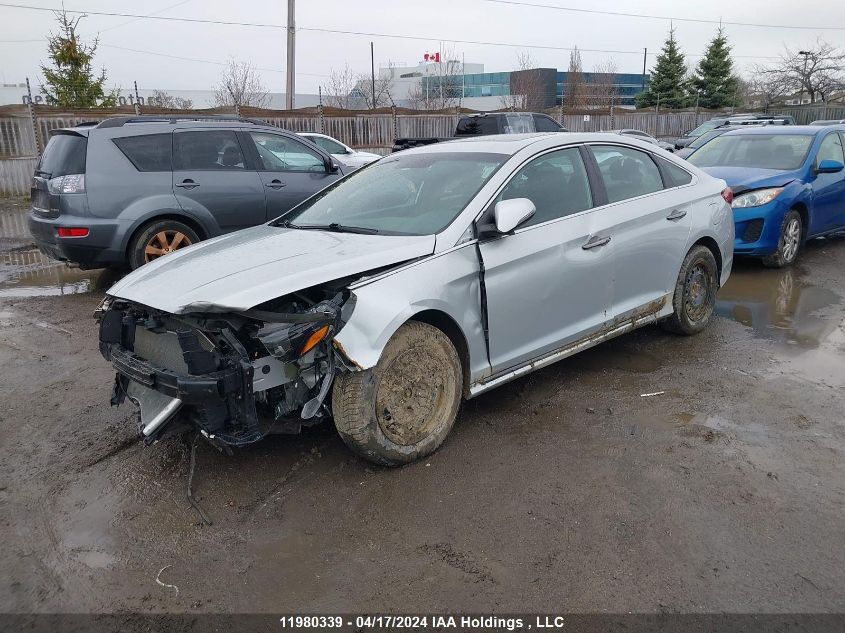 2019 Hyundai Sonata VIN: 5NPE34AF5KH795379 Lot: 11980339