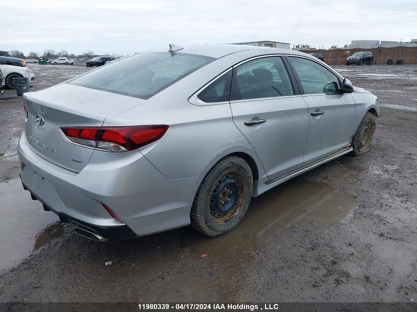 2019 Hyundai Sonata VIN: 5NPE34AF5KH795379 Lot: 11980339