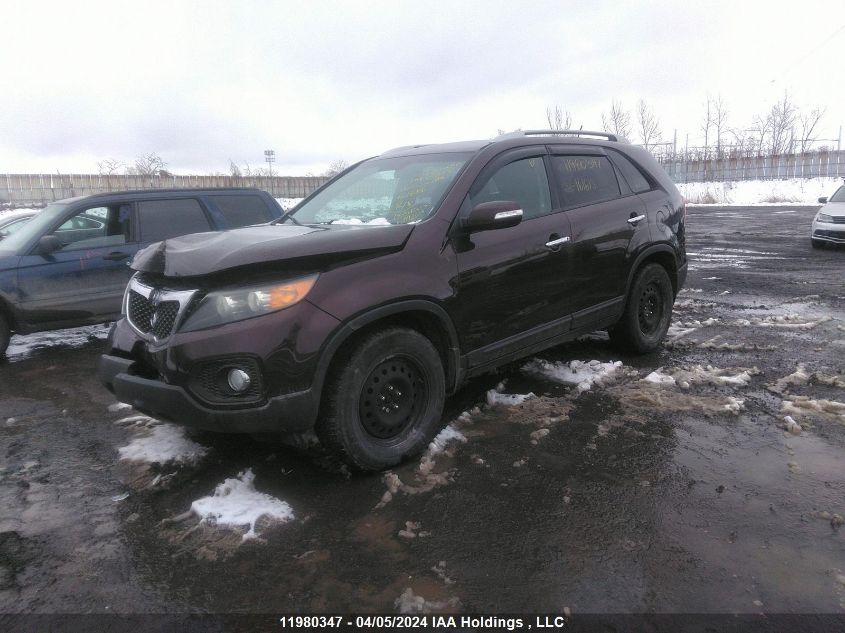 2011 Kia Sorento Lx VIN: 5XYKT3A14BG161618 Lot: 72463923