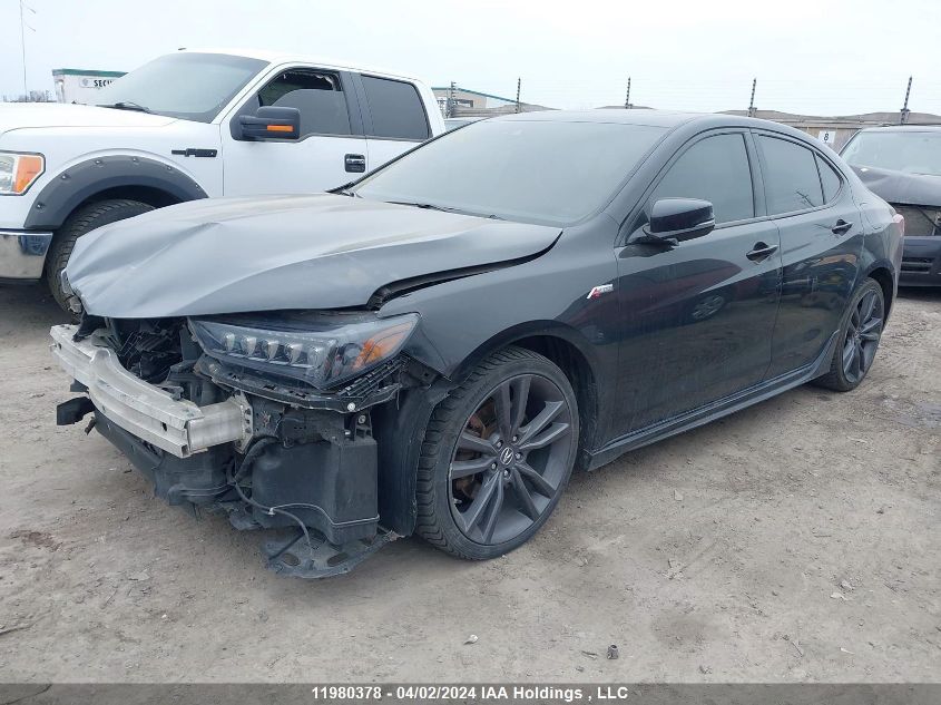 2018 Acura Tlx VIN: 19UUB1F6XJA801156 Lot: 11980378