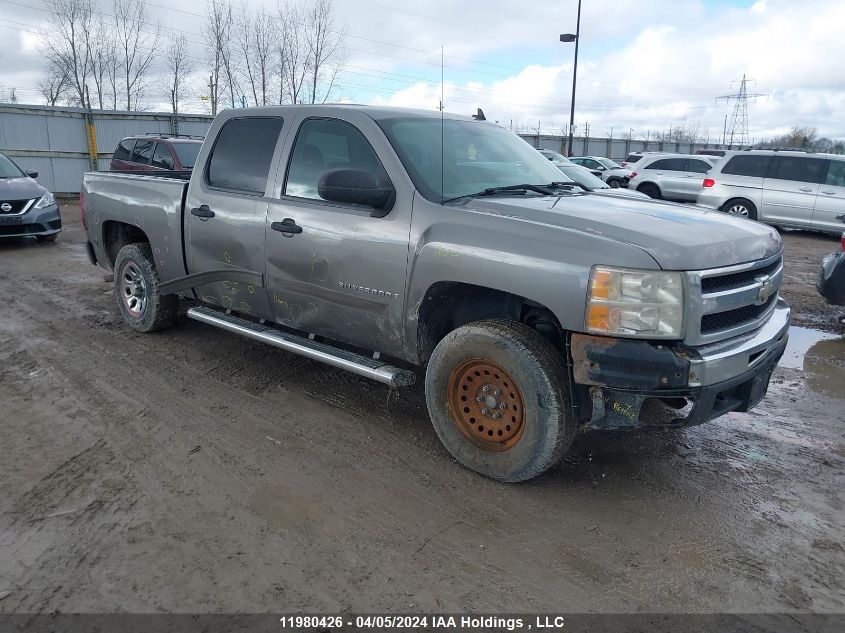 2009 Chevrolet Silverado 1500 VIN: 3GCEK13C29G243524 Lot: 11980426