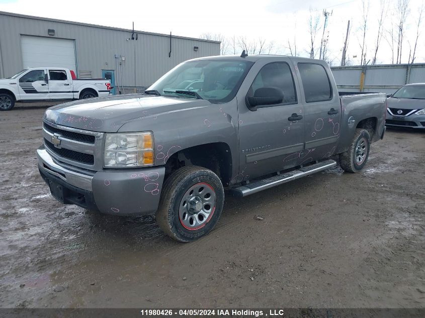 2009 Chevrolet Silverado 1500 VIN: 3GCEK13C29G243524 Lot: 11980426