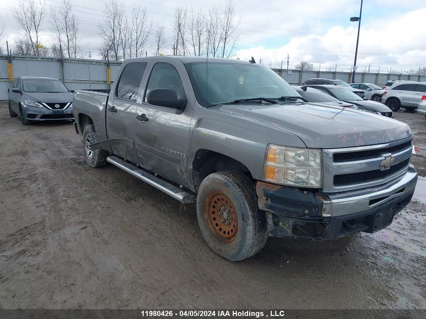 2009 Chevrolet Silverado 1500 VIN: 3GCEK13C29G243524 Lot: 11980426