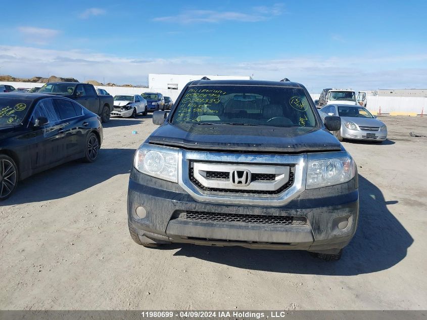 2011 Honda Pilot VIN: 5FNYF4H54BB501339 Lot: 11980699