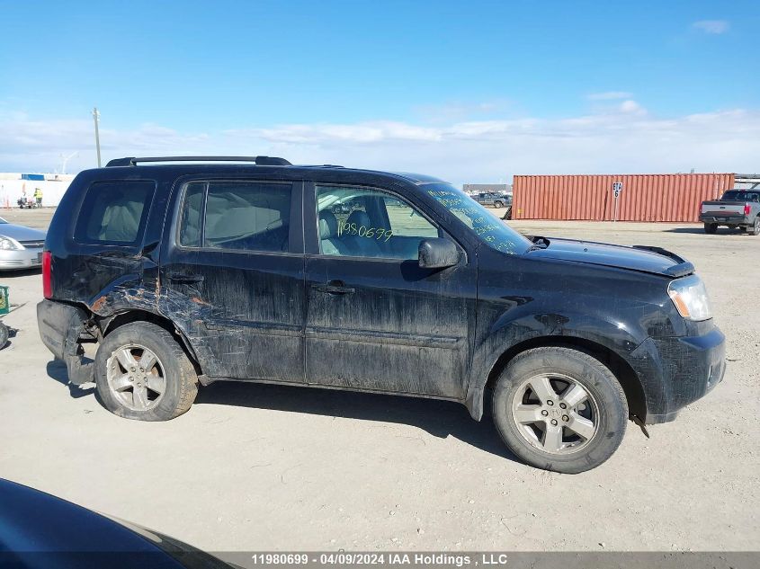 2011 Honda Pilot VIN: 5FNYF4H54BB501339 Lot: 11980699