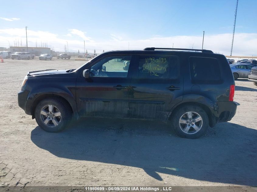 2011 Honda Pilot VIN: 5FNYF4H54BB501339 Lot: 11980699