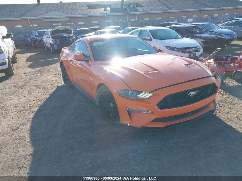 2020 Ford Mustang Gt VIN: 1FA6P8CF9L5184999 Lot: 11980960