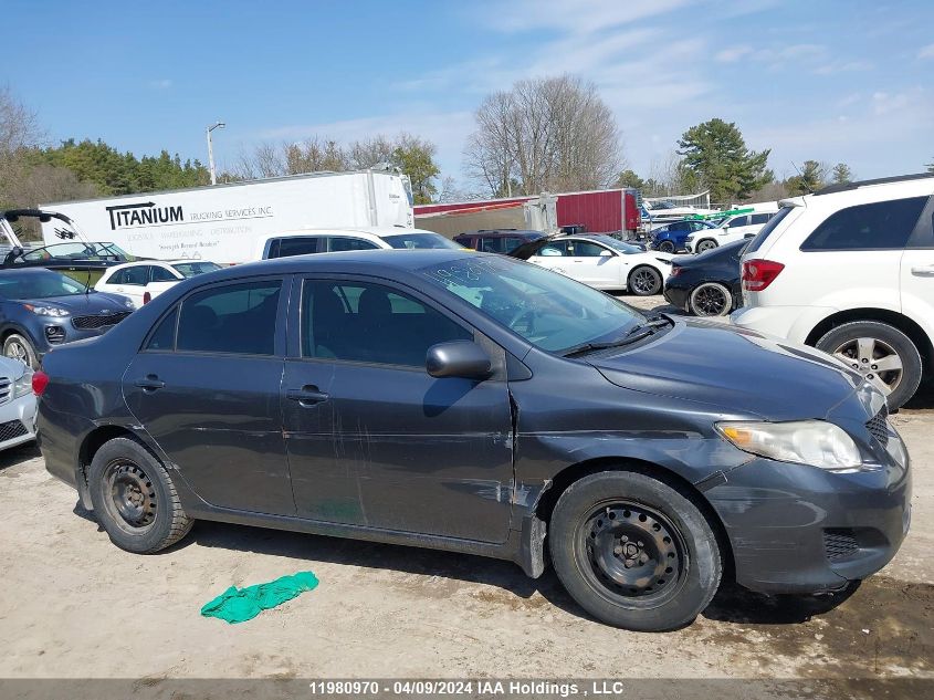 2009 Toyota Corolla S/Le/Xle VIN: 2T1BU40E59C186623 Lot: 11980970