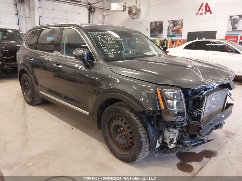 2022 Kia Telluride VIN: 5XYP5DHC4NG196757 Lot: 11981008