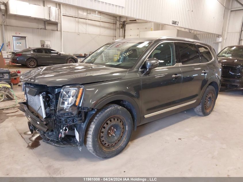 2022 Kia Telluride VIN: 5XYP5DHC4NG196757 Lot: 11981008