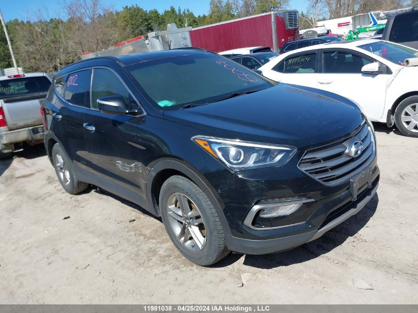 2017 Hyundai Santa Fe VIN: 5NMZUDLB8HH037809 Lot: 11981038