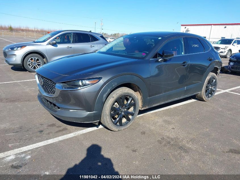 2023 Mazda Cx-30 VIN: 3MVDMBDY3PM505327 Lot: 11981042