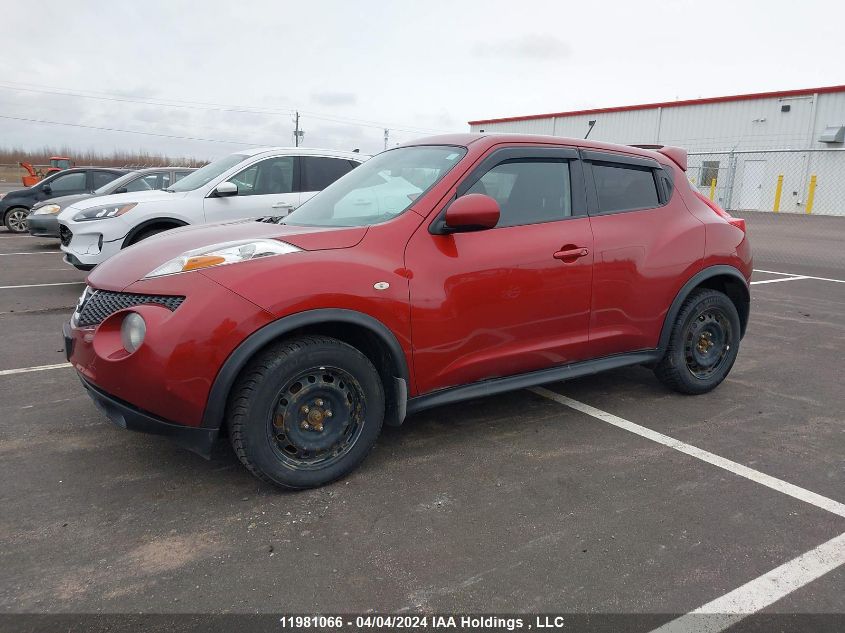 2011 Nissan Juke Sv VIN: JN8AF5MV9BT025720 Lot: 11981066