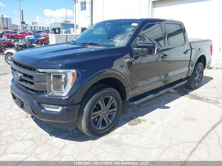 2023 Ford F150 Supercrew VIN: 1FTFW1E88PKD68809 Lot: 11981085