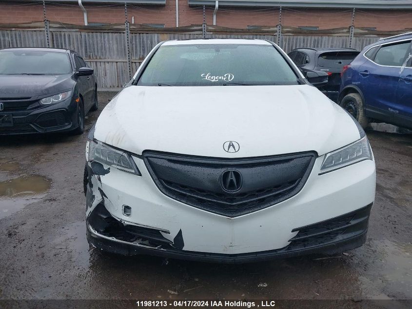 2015 Acura Tlx VIN: 19UUB1F31FA801835 Lot: 11981213