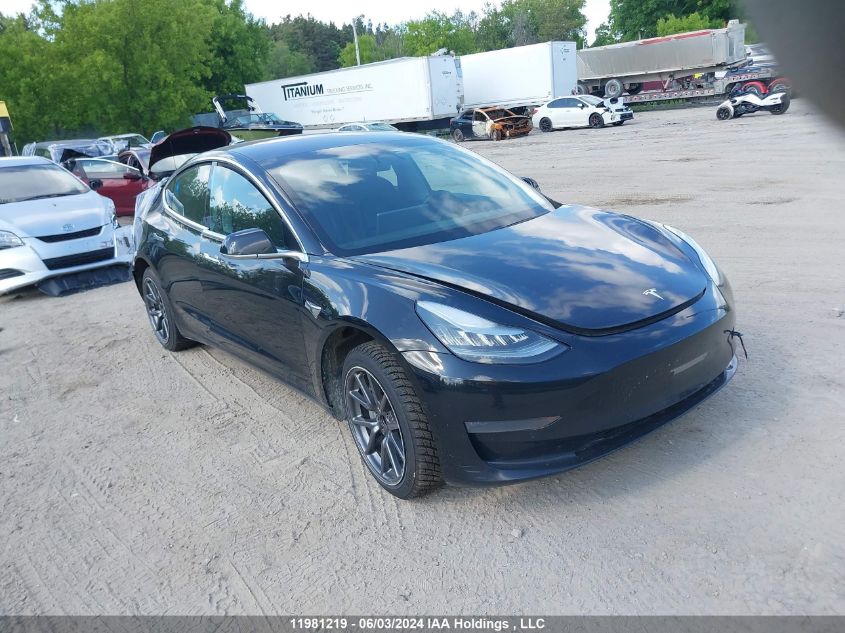 2019 Tesla Model 3 VIN: 5YJ3E1EA8KF321360 Lot: 11981219