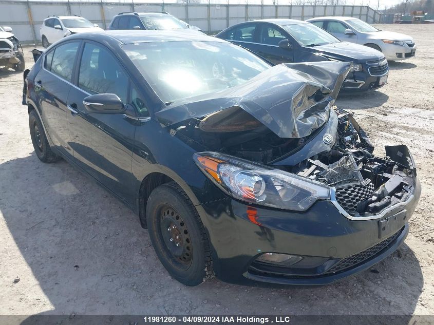 2014 Kia Forte Ex VIN: KNAFX4A83E5229183 Lot: 11981260