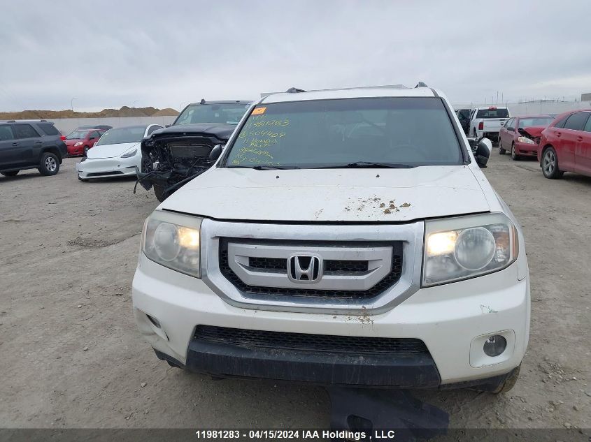 2011 Honda Pilot VIN: 5FNYF4H53BB504409 Lot: 11981283